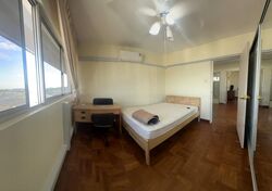 Blk 110 Spottiswoode Park (Bukit Merah), HDB Executive #459488571